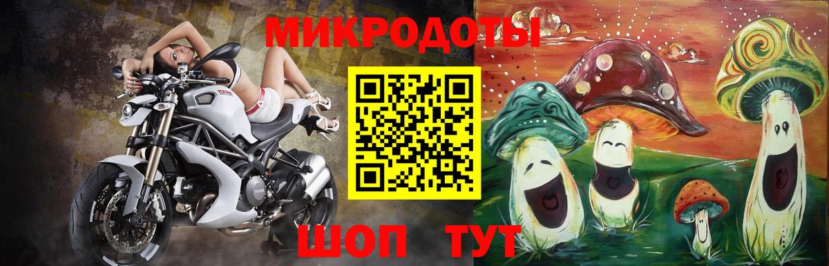 Псилоцибиновые грибы прущие грибы Майкоп