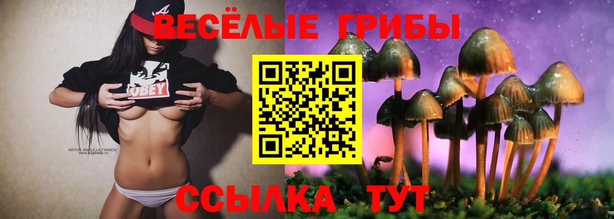 Майкоп  Псилоцибиновые грибы мицелий  Псилоцибиновые грибы GOLDEN TEACHER  Вход с VPN 